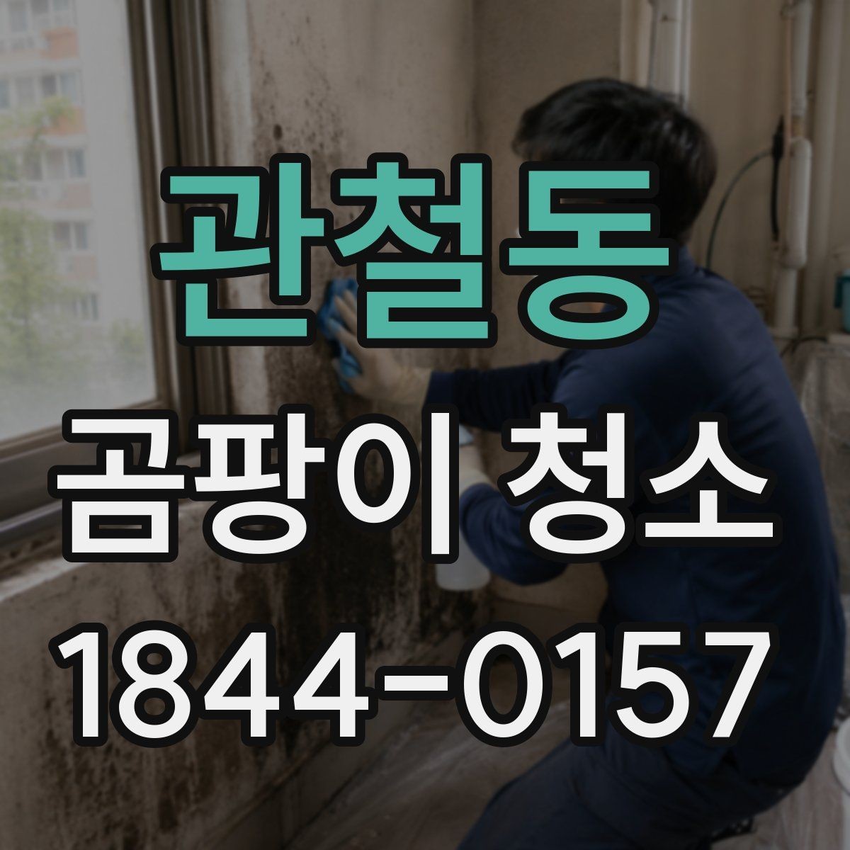 관철동 곰팡이 청소 자취방에서 빠르게 정리하는 순서