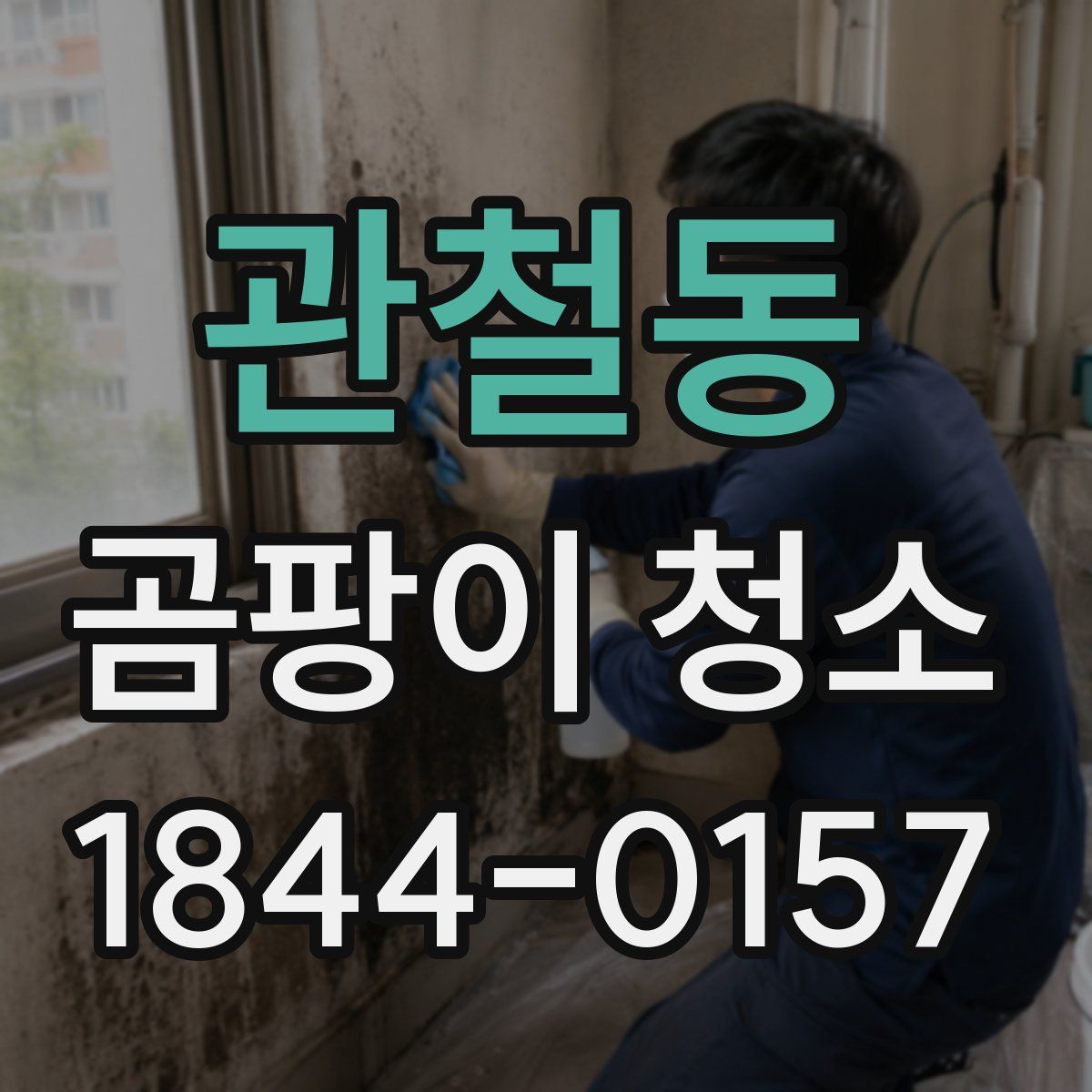 관철동 곰팡이 청소