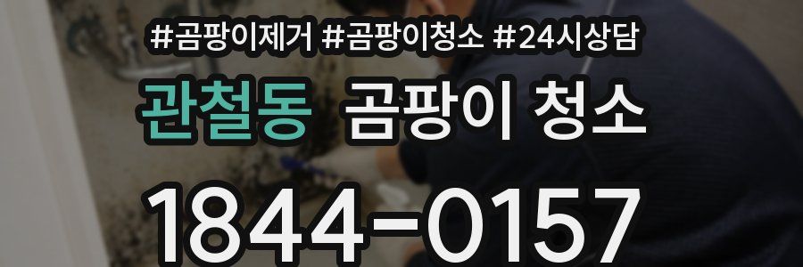 관철동 곰팡이 청소