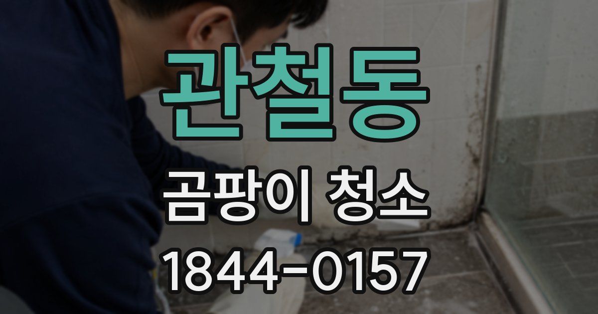 관철동 곰팡이 청소