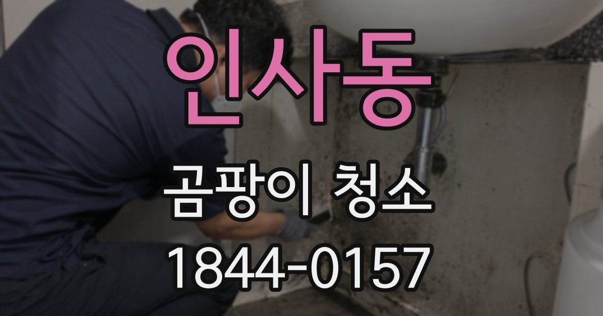 인사동 곰팡이 청소