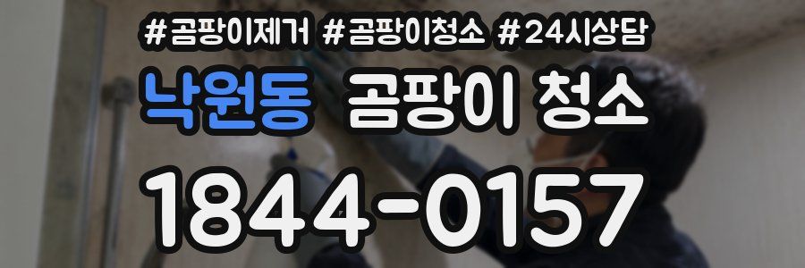 낙원동 곰팡이 청소