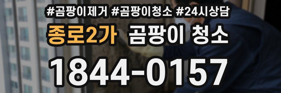 종로2가 곰팡이 청소