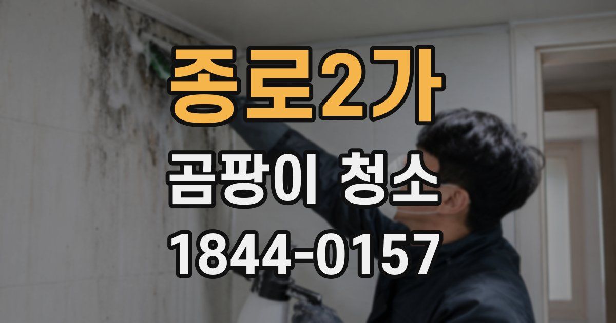 종로2가 곰팡이 청소