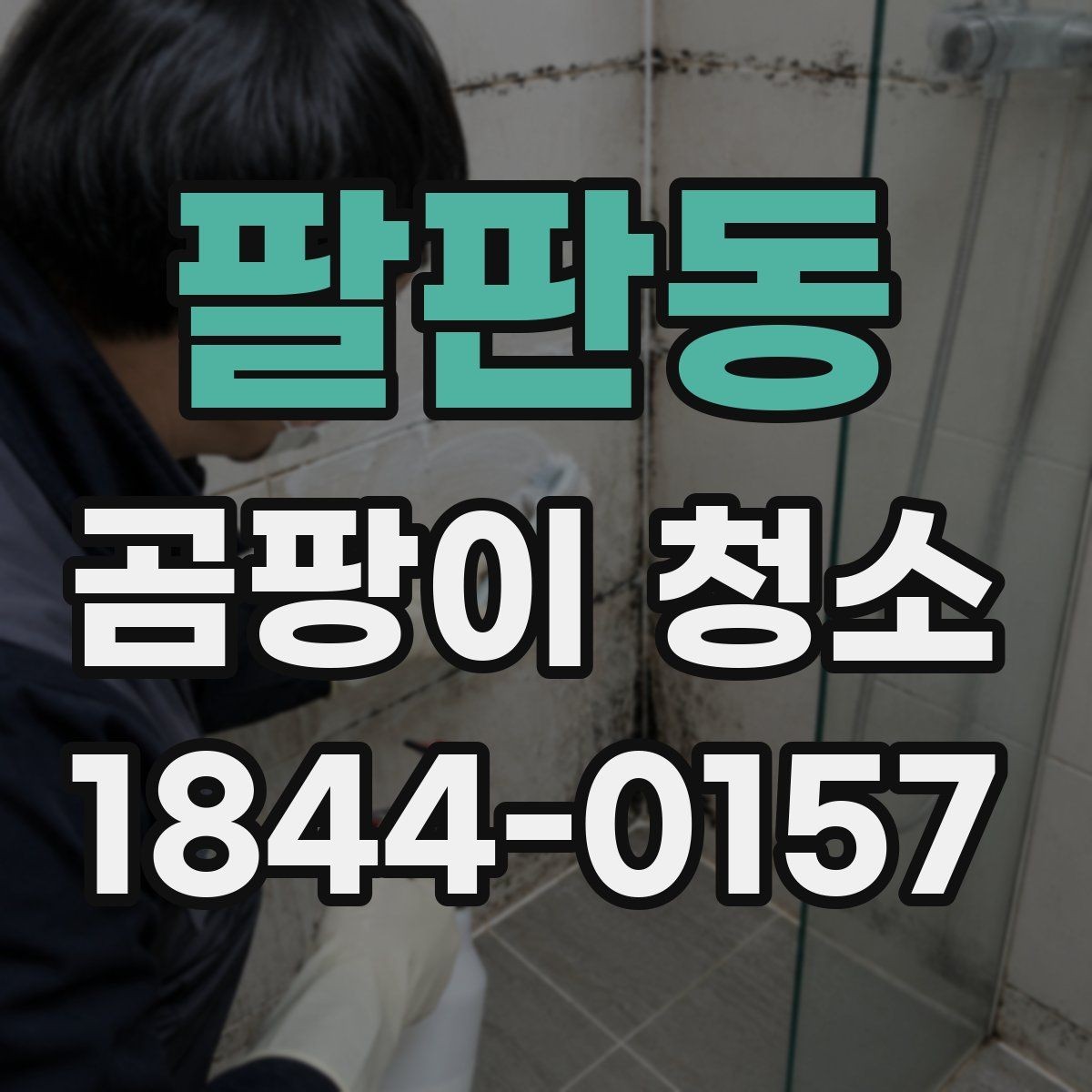 팔판동 곰팡이 청소 포자 확산을 줄이는 작업 준비와 동선