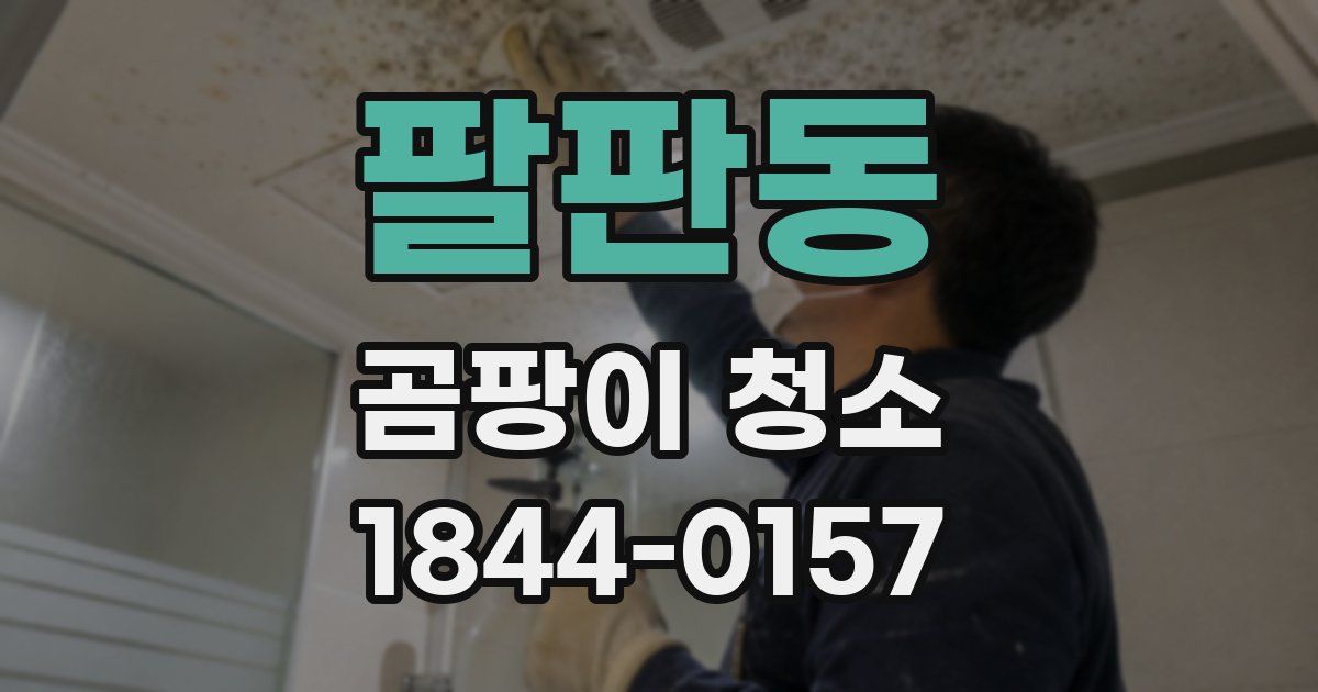팔판동 곰팡이 청소