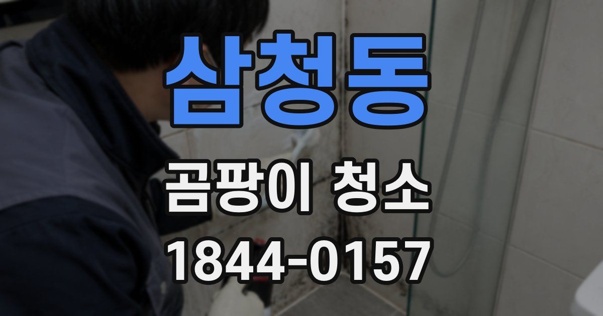 삼청동 곰팡이 청소