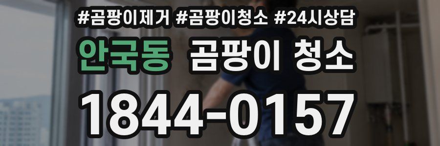 안국동 곰팡이 청소