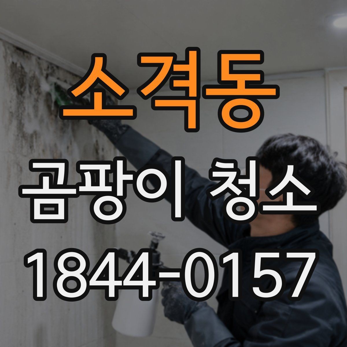 소격동 곰팡이 청소 재도장 전 표면 정리 체크포인트