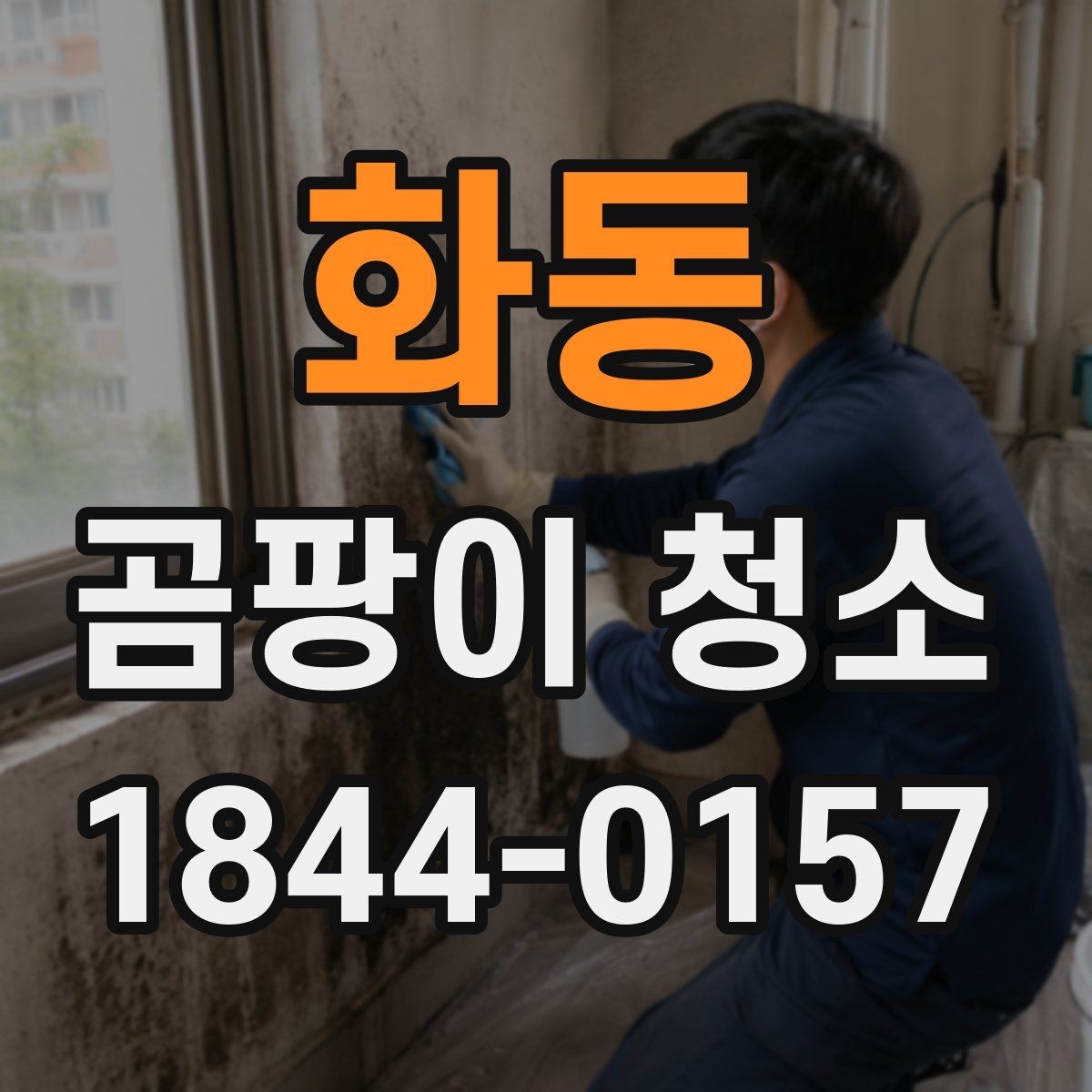 화동 곰팡이 청소 주방 후드 주변 흔적까지 함께 살피는 이유