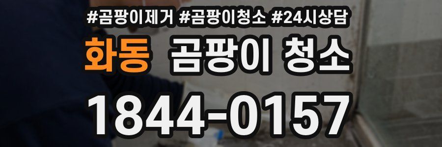 화동 곰팡이 청소