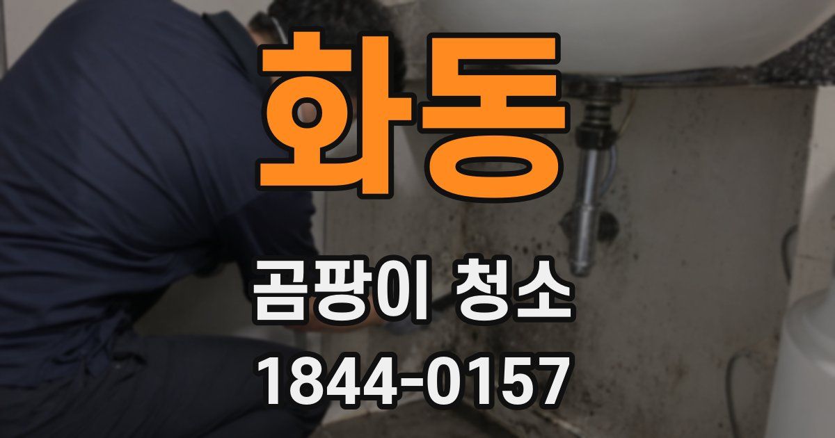화동 곰팡이 청소