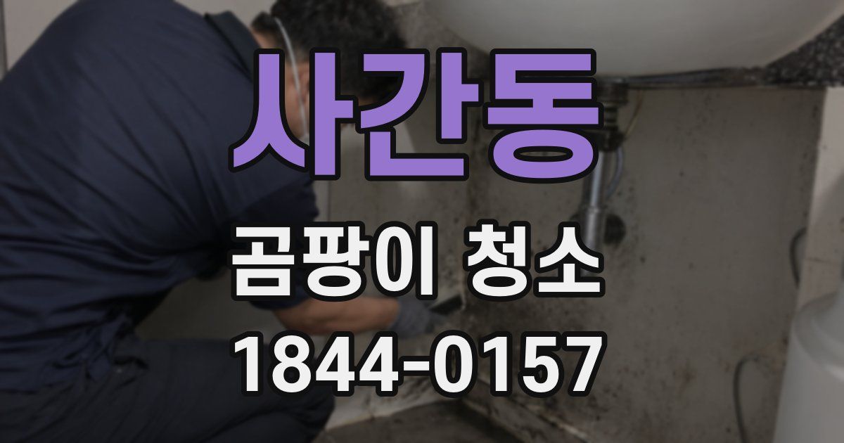 사간동 곰팡이 청소