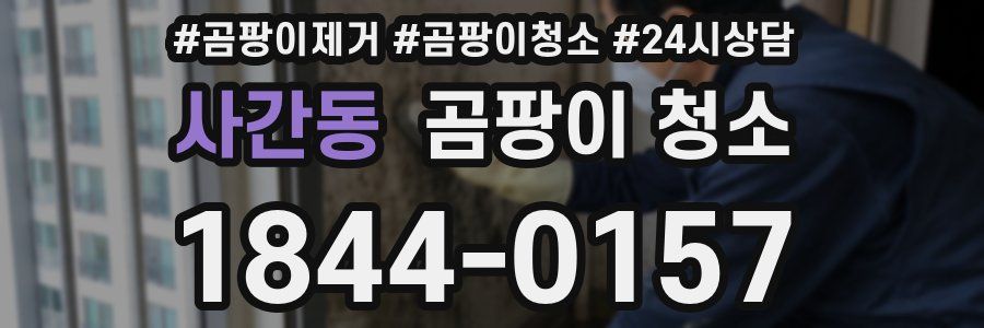 사간동 곰팡이 청소