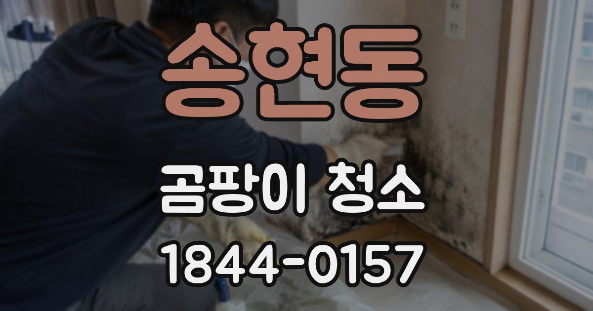 송현동 곰팡이 청소