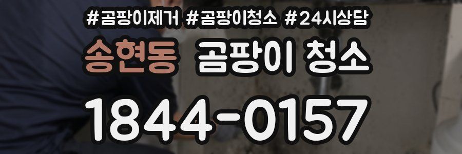 송현동 곰팡이 청소