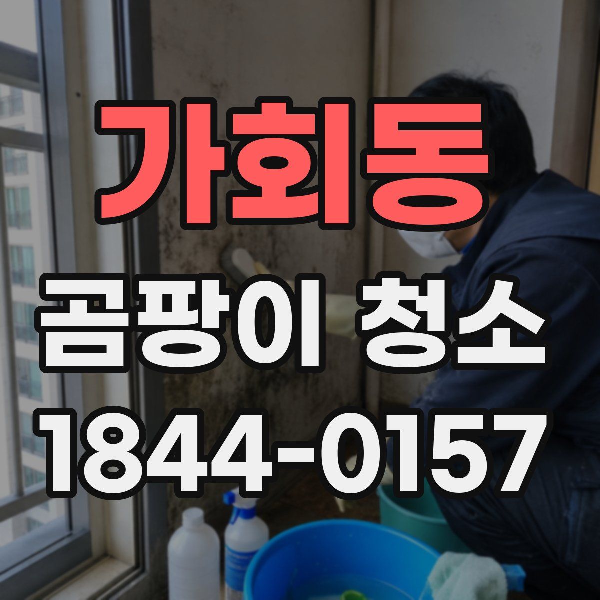 가회동 곰팡이 청소