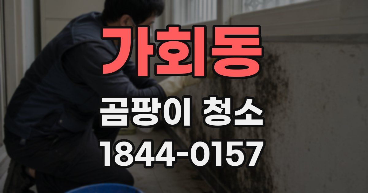 가회동 곰팡이 청소