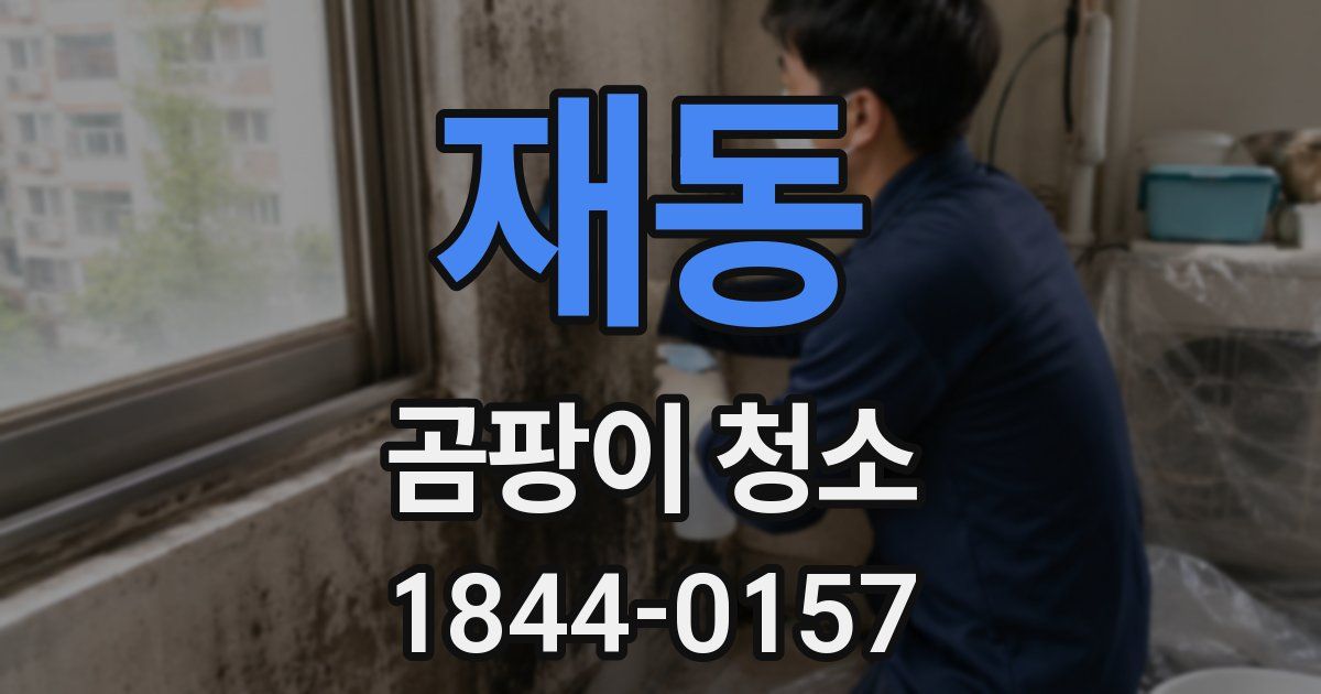 재동 곰팡이 청소