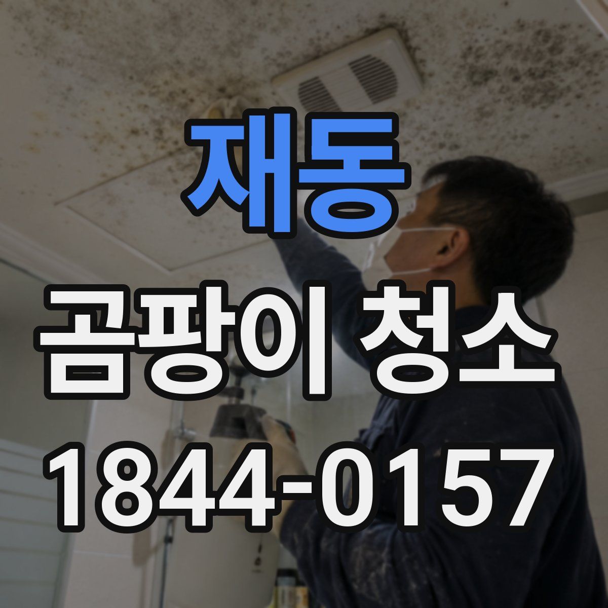 재동 곰팡이 청소