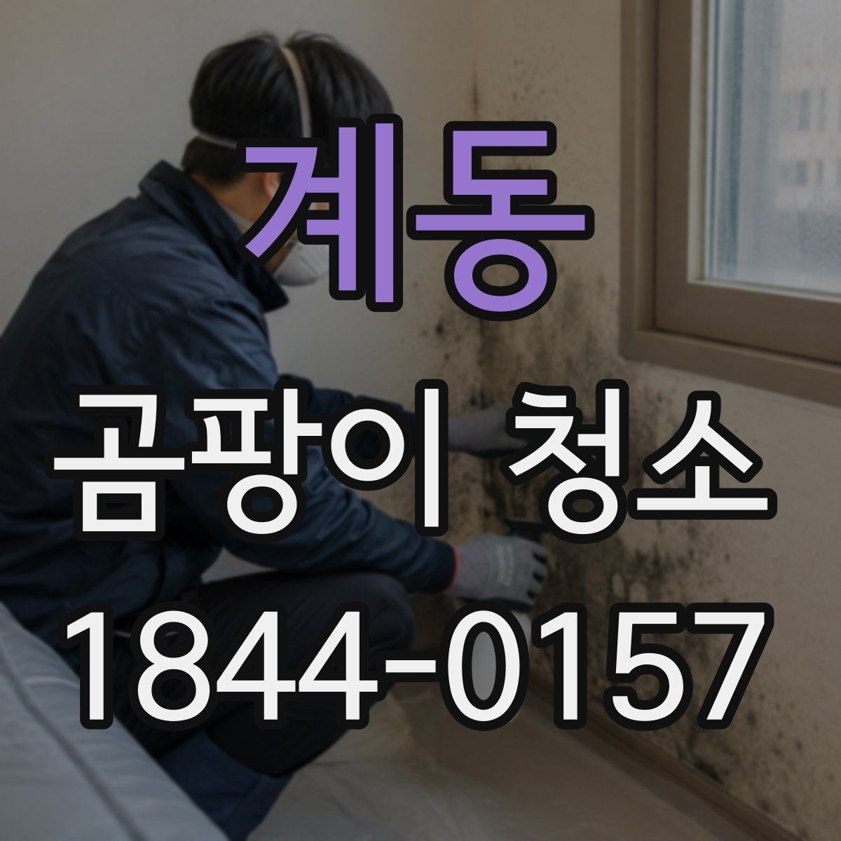 계동 곰팡이 청소 욕실 실리콘 부위가 반복되는 이유
