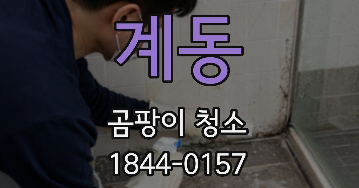 계동 곰팡이 청소