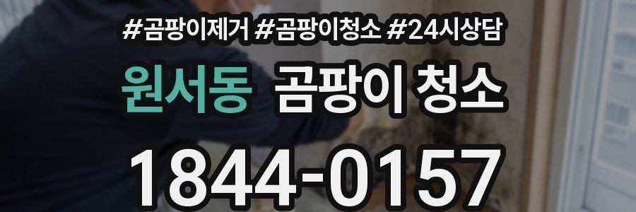 원서동 곰팡이 청소