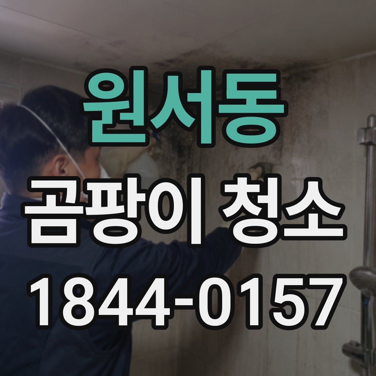 원서동 곰팡이 청소