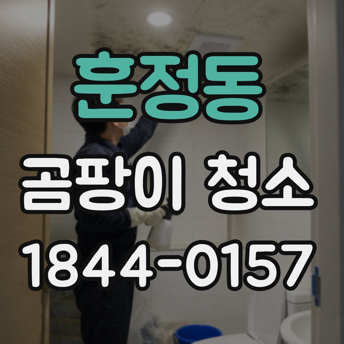 훈정동 곰팡이 청소