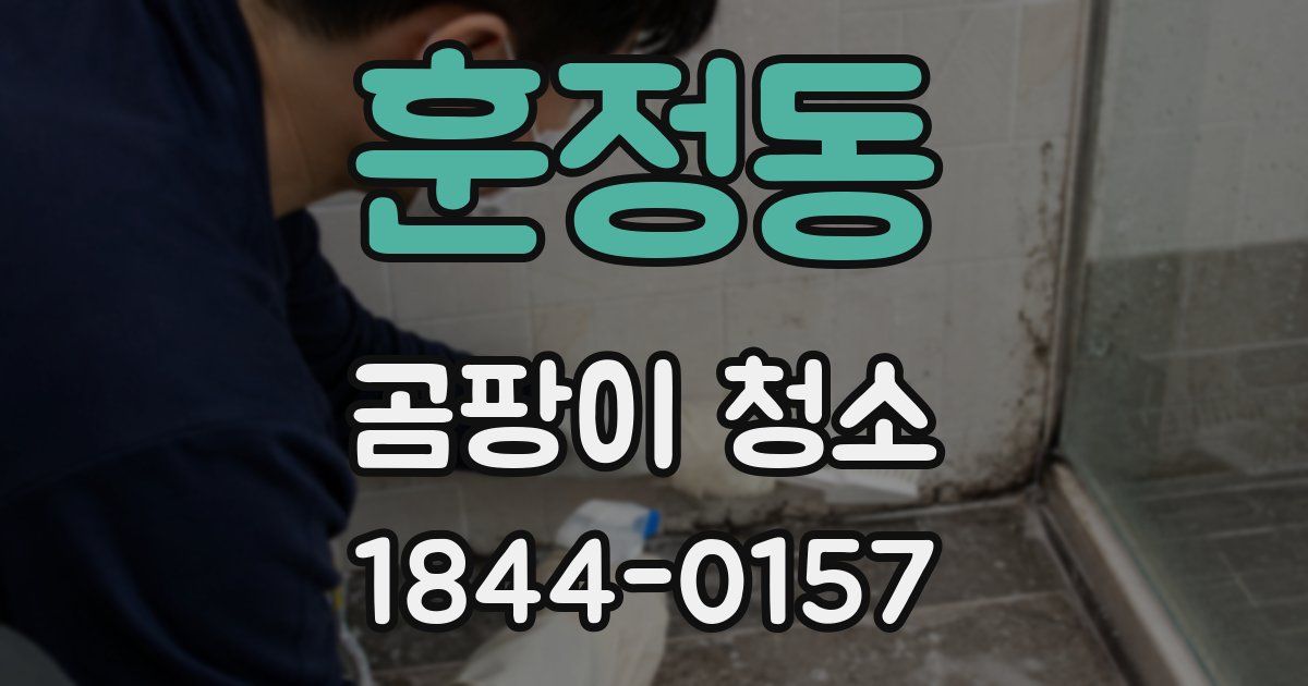 훈정동 곰팡이 청소