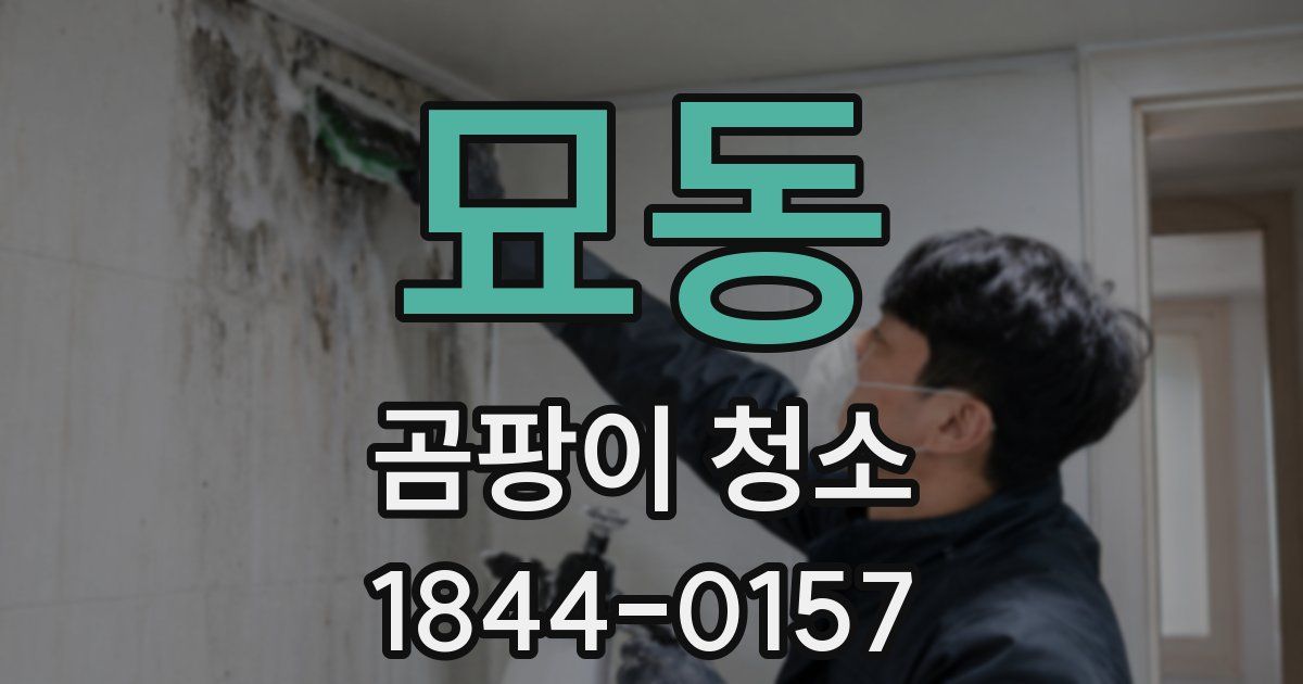 묘동 곰팡이 청소