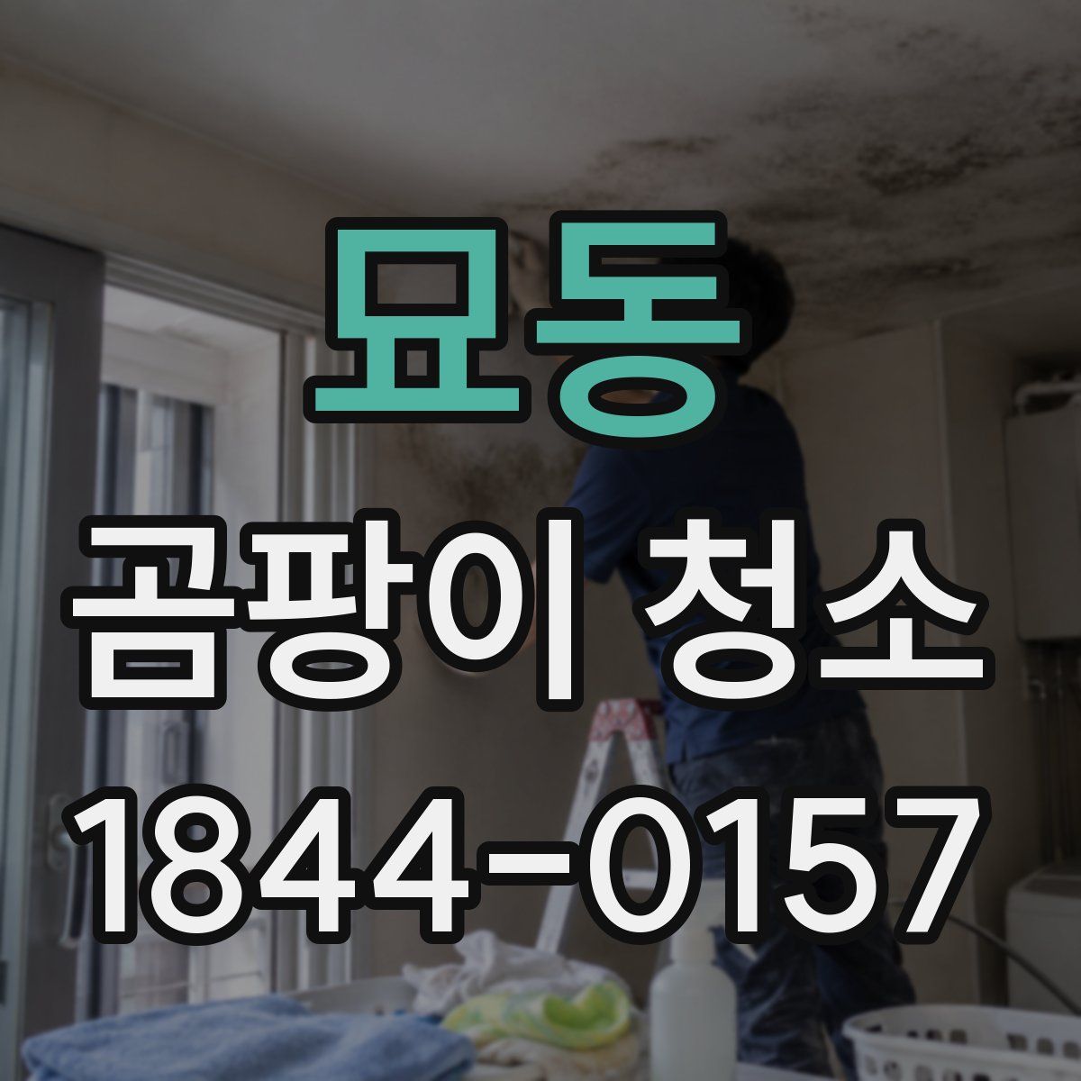 묘동 곰팡이 청소