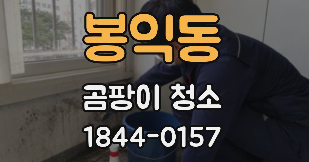 봉익동 곰팡이 청소