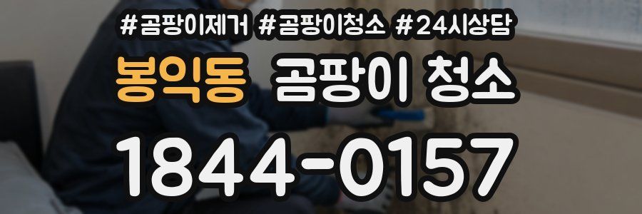 봉익동 곰팡이 청소