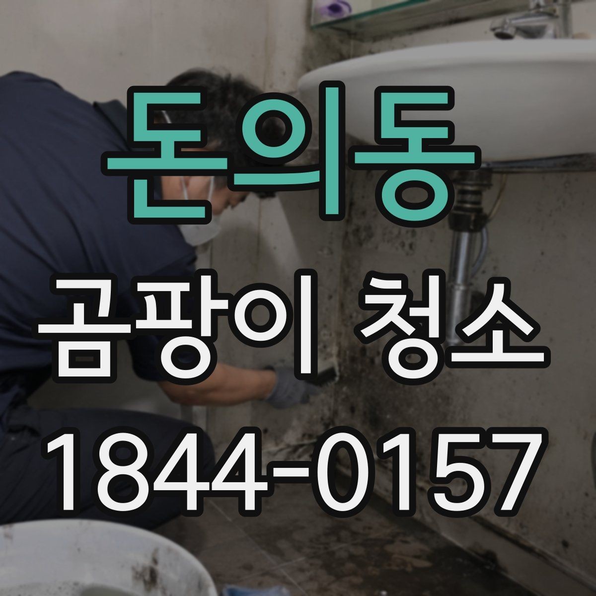 돈의동 곰팡이 청소 천장 작업에서 놓치기 쉬운 안전 포인트