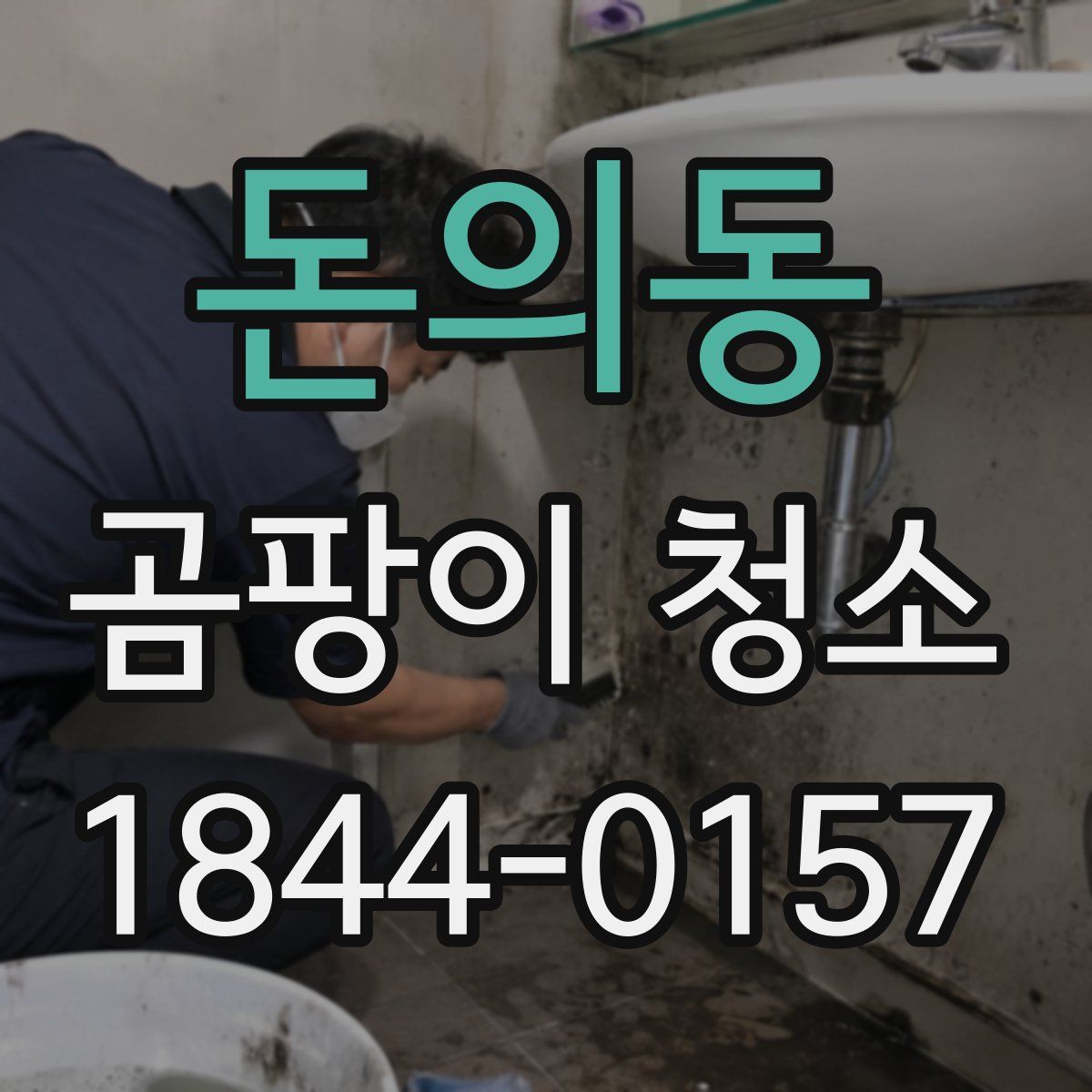 돈의동 곰팡이 청소