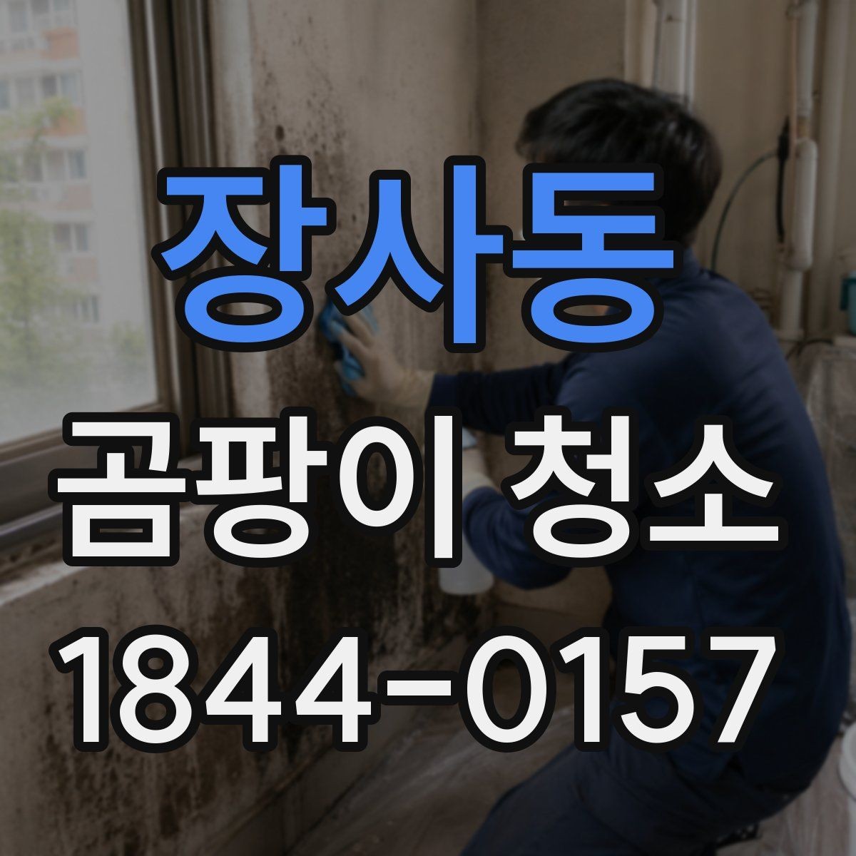 장사동 곰팡이 청소 제거 전후로 실내 온습도를 맞추는 관리