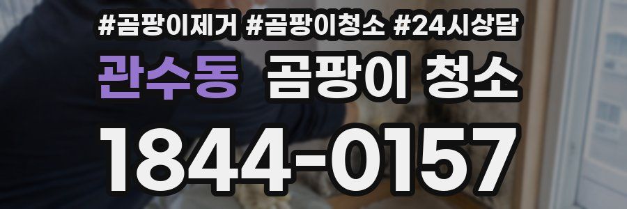 관수동 곰팡이 청소