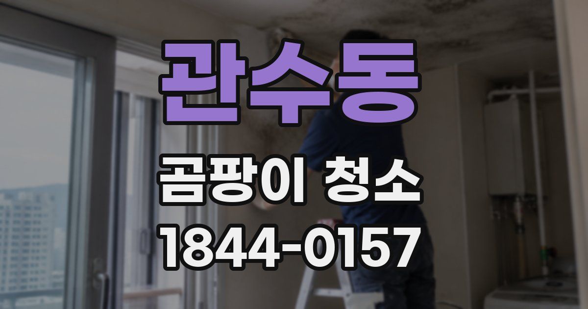 관수동 곰팡이 청소