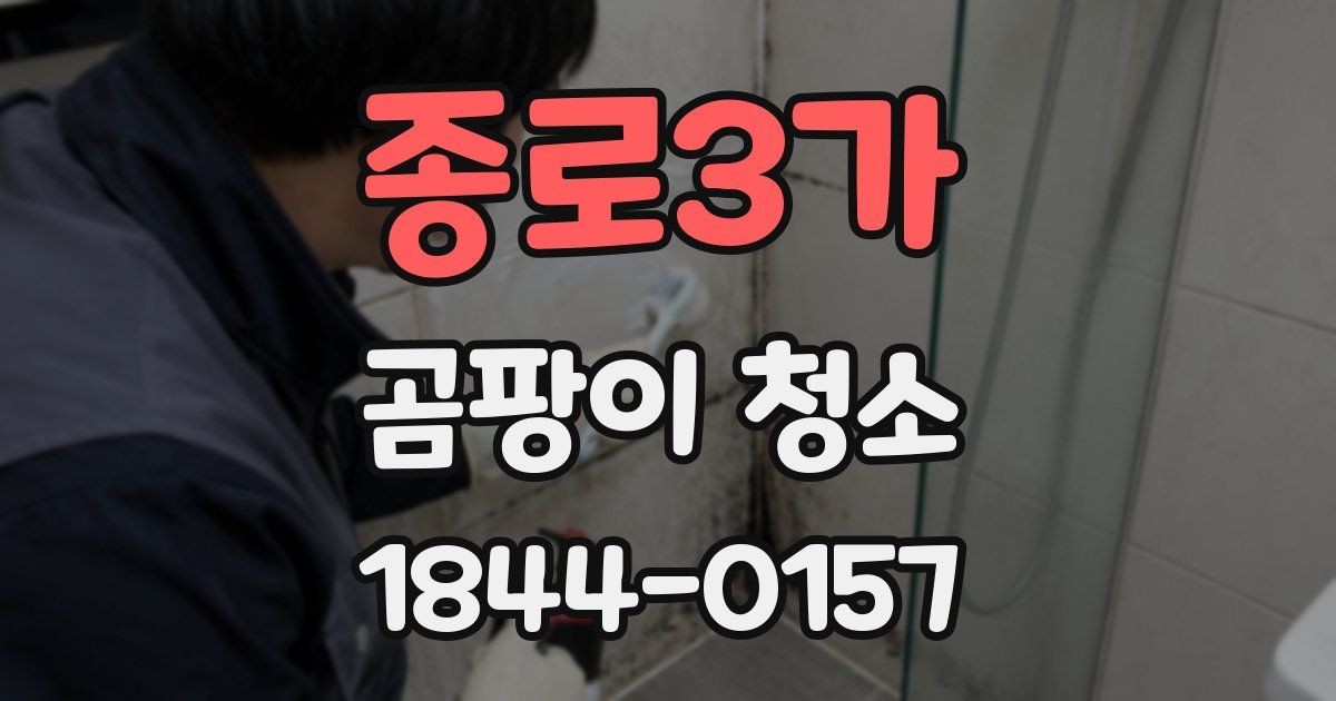 종로3가 곰팡이 청소