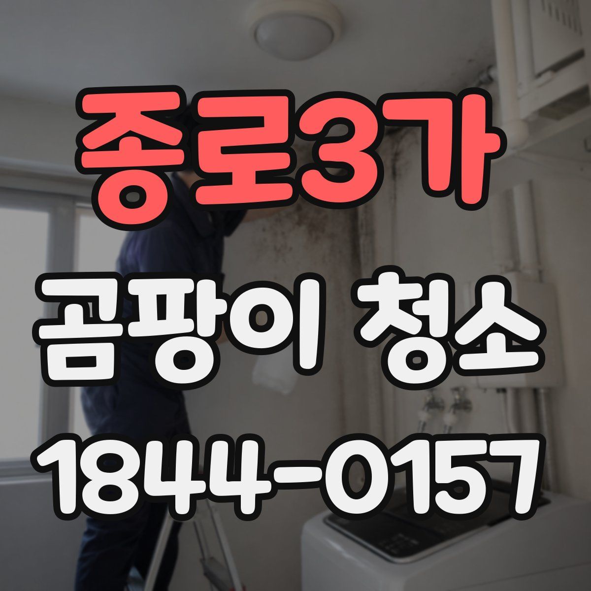 종로3가 곰팡이 청소