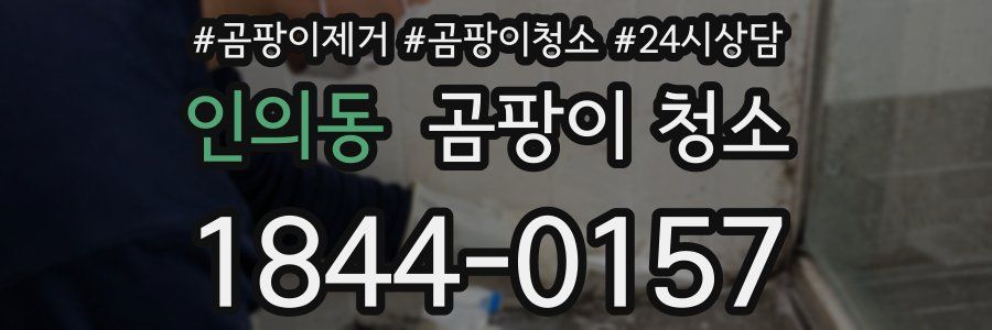 인의동 곰팡이 청소