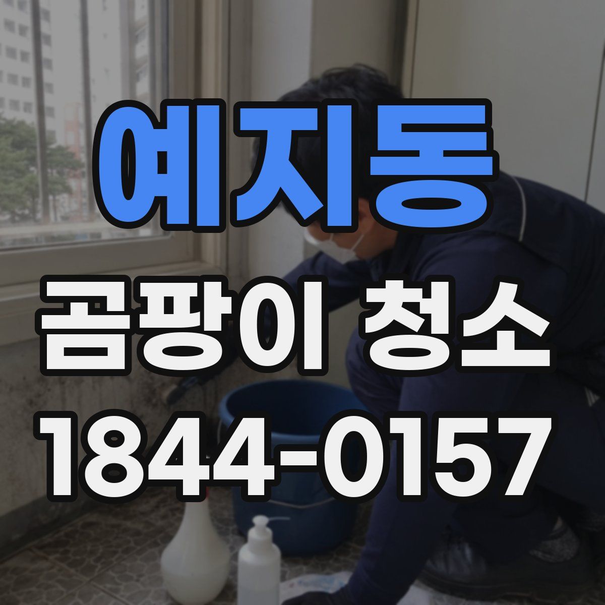 예지동 곰팡이 청소