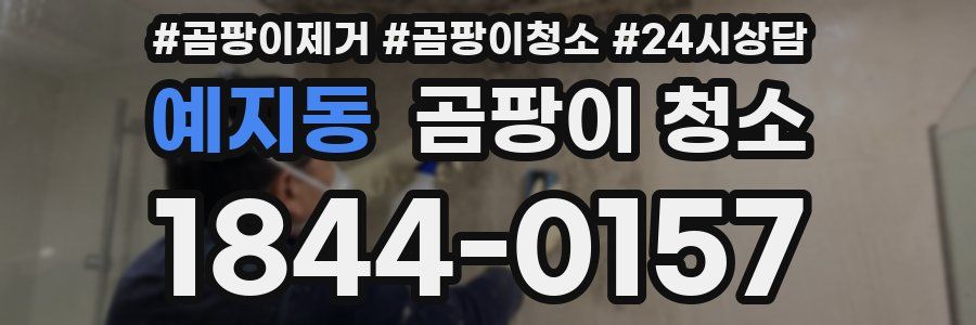 예지동 곰팡이 청소