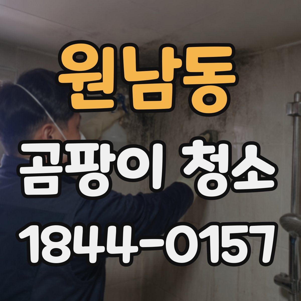 원남동 곰팡이 청소