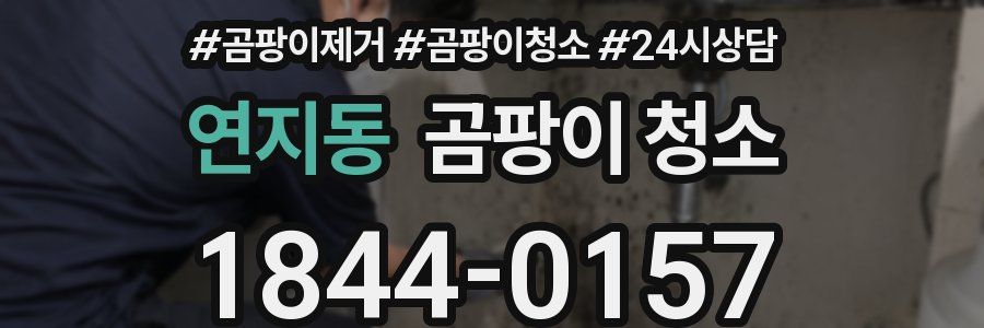 연지동 곰팡이 청소