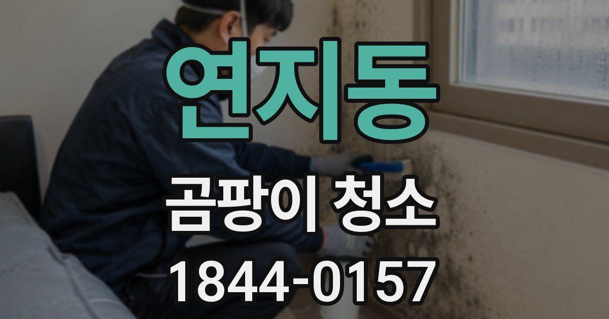 연지동 곰팡이 청소