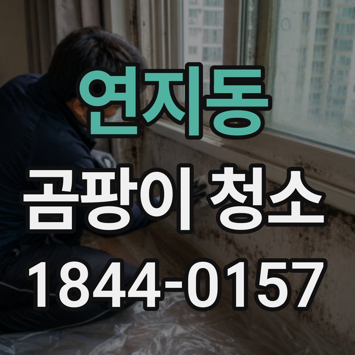 연지동 곰팡이 청소