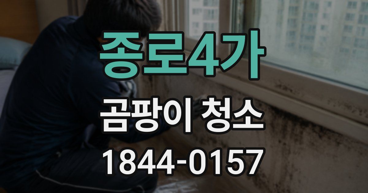 종로4가 곰팡이 청소