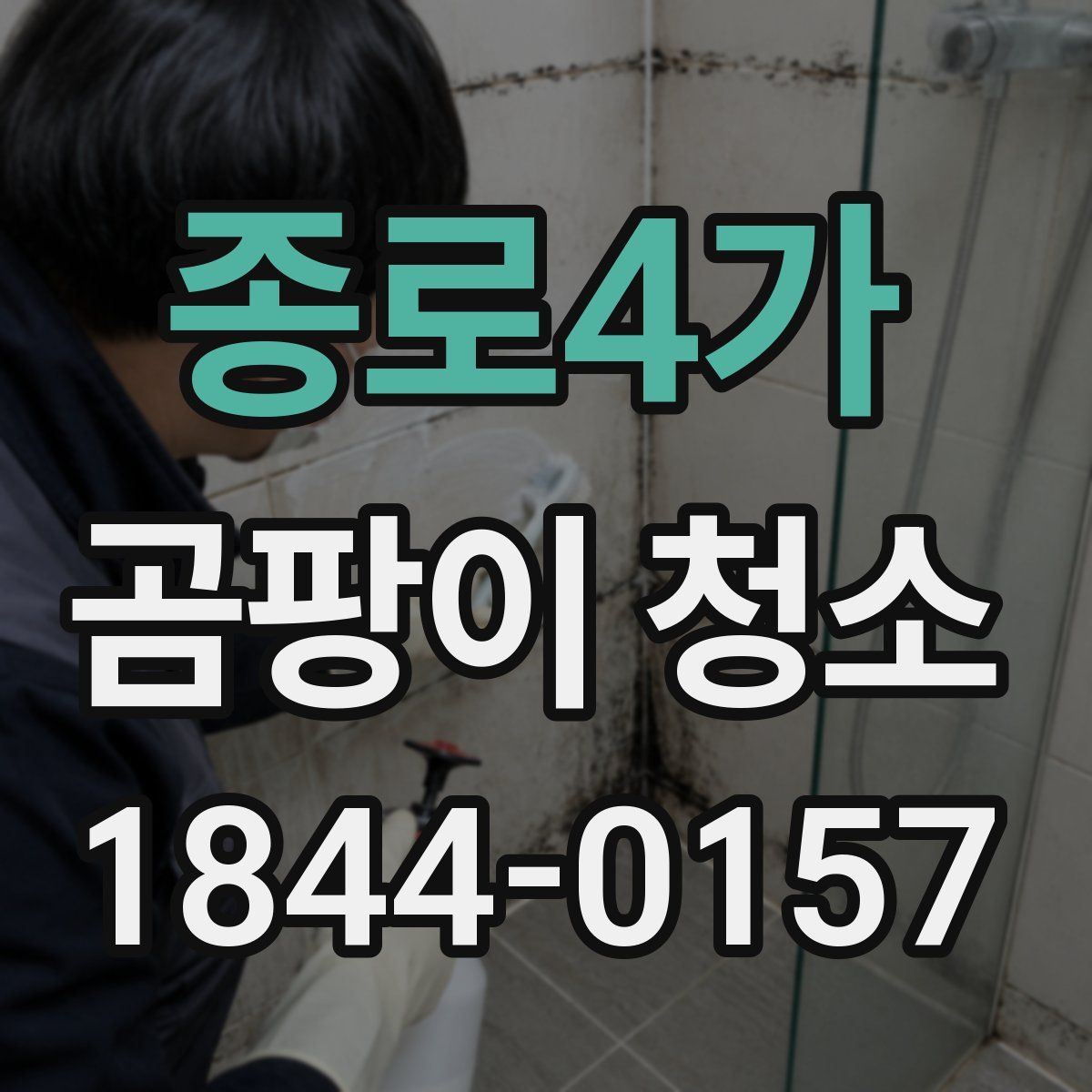 종로4가 곰팡이 청소